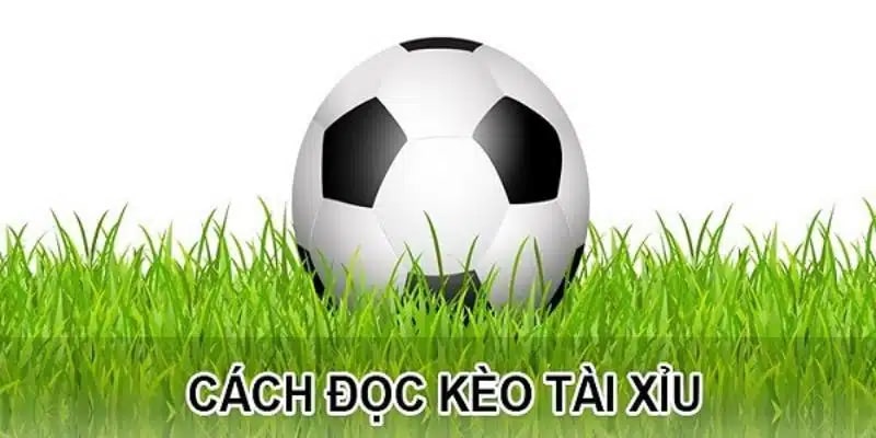 Tài Xỉu Bóng Đá Là Gì? Cách Đặt Cược Hiệu Quả Mới Nhất 2025 Phân tích dựa trên kinh nghiệm từ chuyên gia