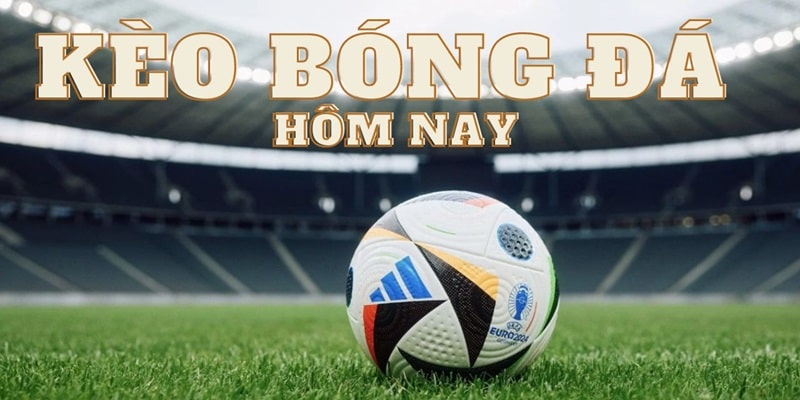 Cập Nhật Tỷ Lệ Kèo Bóng Đá Hôm Nay Nhanh Chóng Tại Ww88 Giới thiệu tỷ lệ kèo bóng đá hôm nay tại ww88