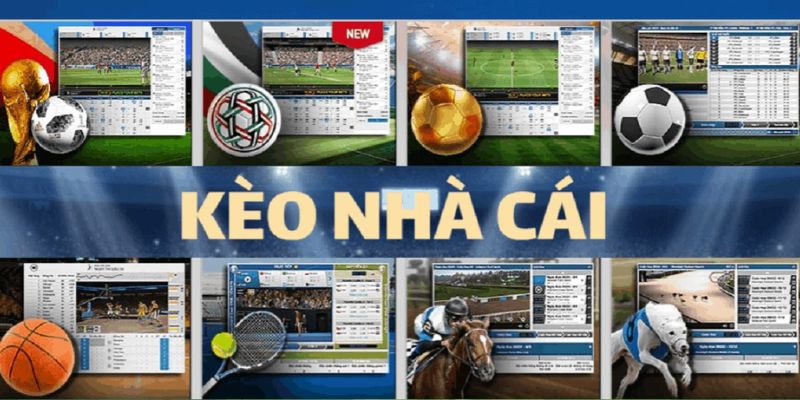 Nhận Định Bóng Đá WAP Tại WW88 - Công Cụ Đắc Lực Để Cá Độ Các ưu điểm khi sử dụng nhận định bóng đá WAP tại nhà cái